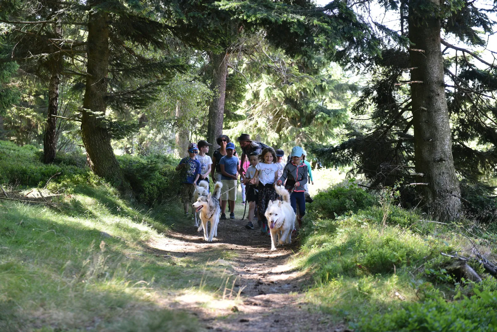 Vidéo Métropole Saint-Etienne